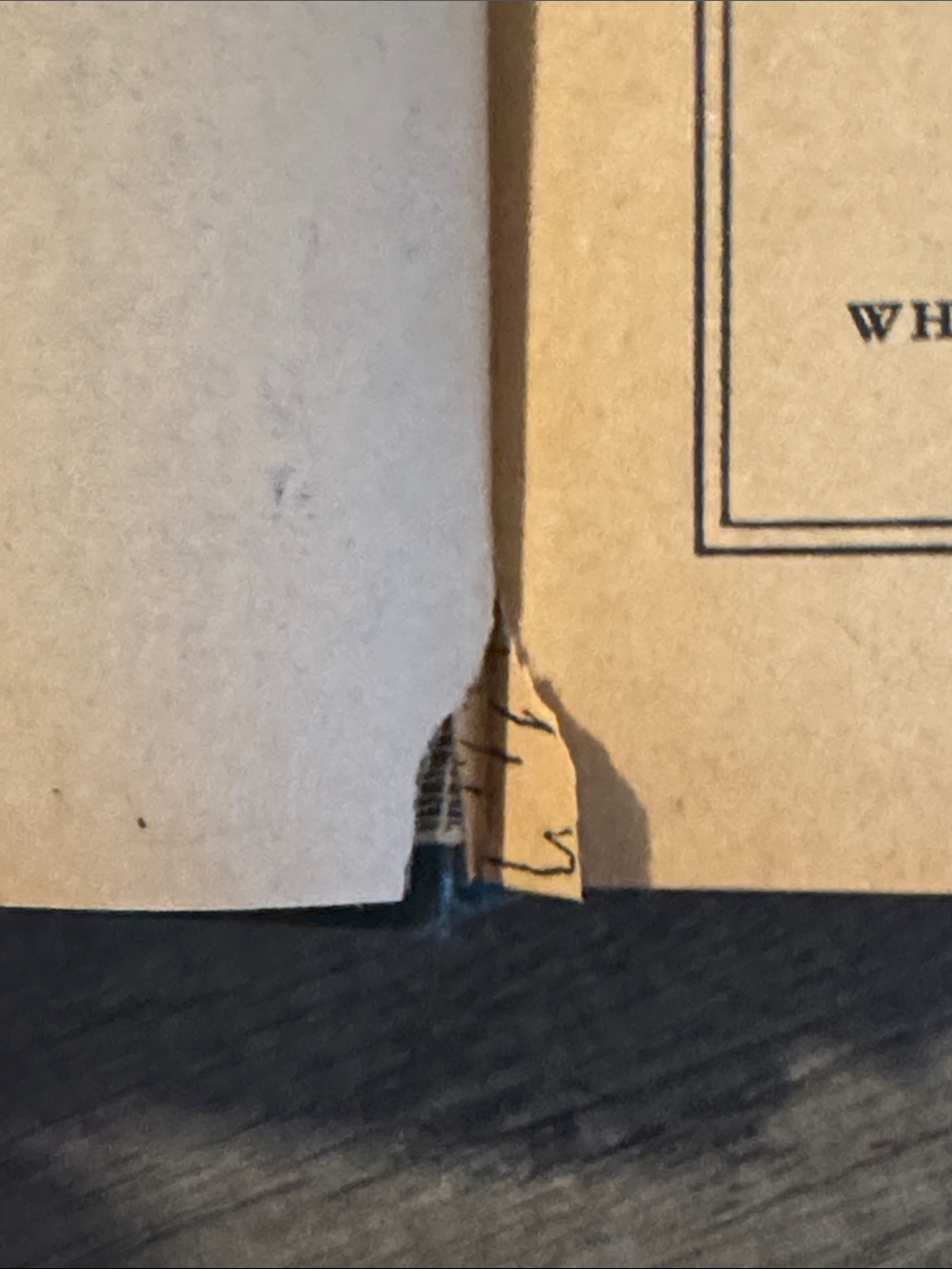 Huckleberry Finn Hardcover - Picture 6 of 10